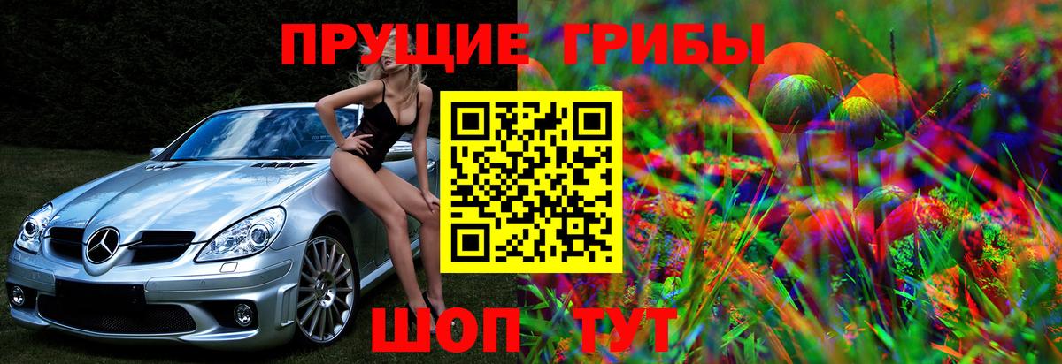 Галлюциногенные грибы мухоморы  Вход с VPN  Можайск  Псилоцибиновые грибы мицелий 